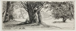Das Stechpalmenfeld von Francis Seymour Haden