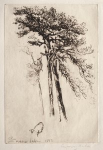 Der neueste Baum von Francis Seymour Haden