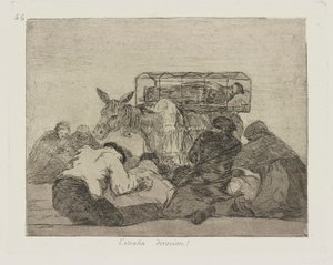 Seltsame Hingabe!, Tafel 66 aus der Serie Die Schrecken des Krieges von Francisco de Goya