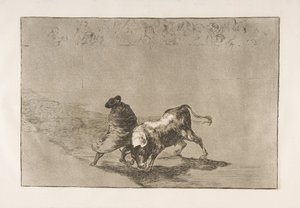 Tafel 14 aus der Tauromaquia: Der sehr geschickte Schüler von Falces, in seinen Umhang gehüllt..., 1816 von Francisco de Goya