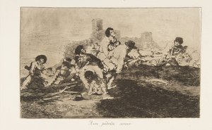 Platte 24 aus Die Schrecken des Krieges, Los Desastres de la Guerra: Sie... (1810 veröffentlicht 1863)