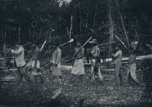 Indios Guaranys, Rückkehr von einer Jagd, 1895
