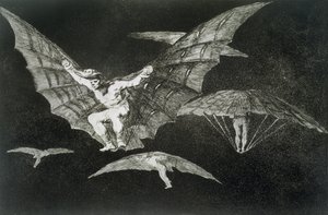 Eine Art zu fliegen, Platte 13 aus 