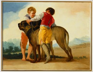 Jungen mit einem wilden Hund