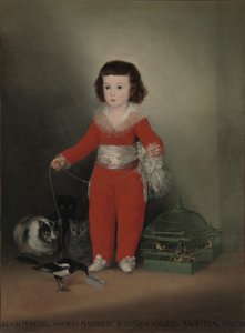 Don Manuel Osorio Manrique de Zuniga von Francisco de Goya
