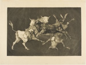 Narrens Torheit, aus Disparates von Francisco Jose de Goya y Lucientes