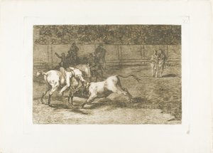 Mariano Ceballos, alias der Indianer, tötet den Stier von seinem Pferd aus, Platte 23 aus Die Kunst des Stierkampfs von Francisco Jose de Goya y Lucientes