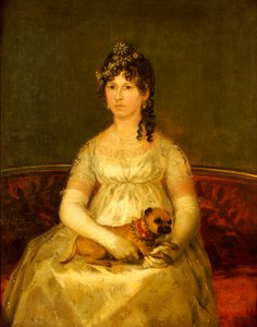 Porträt von Dona Francisca Vicenta Chollet y Caballero, sitzend, dreiviertel Länge, mit einem Schoßhund, 1806