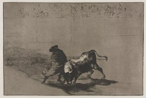 Stierkämpfe: Der sehr geschickte Student von Falces, in seinen Umhang gehüllt, trickst den Stier aus..., 1876 von Francisco de Goya