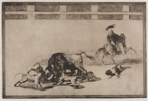 Stierkämpfe: Sie lassen Hunde auf den Stier los von Francisco de Goya