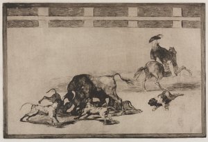 Stierkämpfe: Sie lassen Hunde auf den Stier los, 1876 von Francisco de Goya