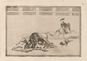 Sie lassen Hunde auf den Stier los von Francisco de Goya