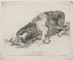 Ein wildes Ungeheuer (81) von Francisco de Goya