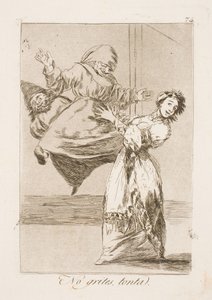 Hör auf zu schreien, du Idiot! von Francisco de Goya