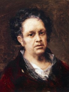 Selbstporträt im Alter von 69 Jahren von Francisco de Goya