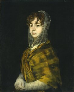 Senora Sabasa Garcia von Francisco de Goya