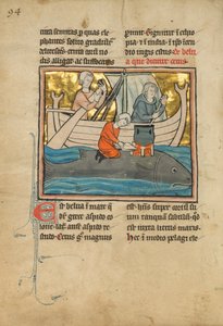 Ein Fischer auf dem Rücken eines Wals, 1277 oder später von Franco Flemish School
