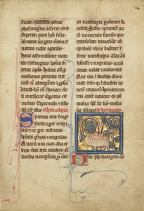 Ein Igel aus einem Bestiarium Ms Ludwig XV 4, fol. 82, ca. 1280-1300