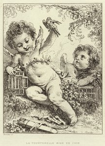 Die eingesperrte Turteltaube (Gravur) von Francois (after) Boucher