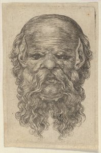 Maske eines glatzköpfigen Mannes mit spitzen Ohren und langem, gespaltenem Bart, aus Divers Masques, ca. 1635-45 von Francois Chauveau