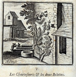 Die Fledermaus und die zwei Wiesel. Fabeln von Jean de La Fontaine. Illustration von François Chauveau. Ausgabe von 1728. von Francois Chauveau