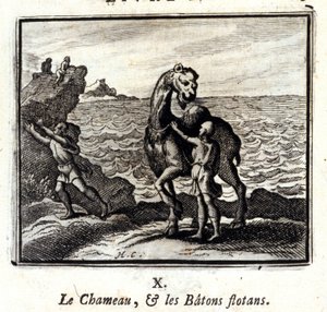Das Kamel und die schwimmenden Stöcke. Fabeln von Jean de La Fontaine. Illustration von François Chauveau. Ausgabe von 1728. von Francois Chauveau