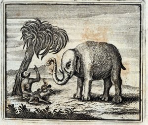 Der Elefant und der Affe des Jupiter. Fabeln von Jean de La Fontaine. Illustration von François Chauveau. Ausgabe von 1728