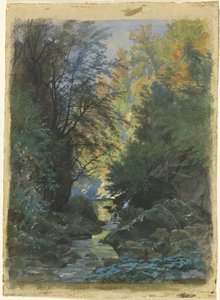 Ein Bach durch einen dichten Wald