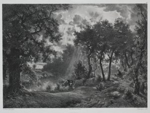 Nach dem Schauer