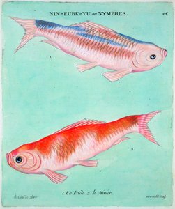 Chinesische Goldfische, 18. Jahrhundert