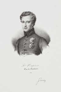Porträt von Napoleon II. von Francois Seraphin Delpech