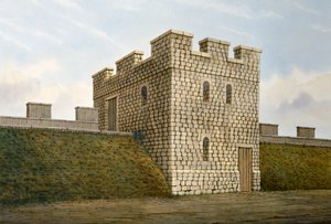 Hadrianswall: Banks East Turret von Frank Gardiner