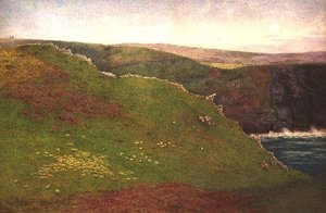 Blick auf die Küste von Cornwall von Frank Goodwin