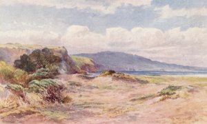 Neuseeland: Am Strand von Ngunguru von Frank H Wright