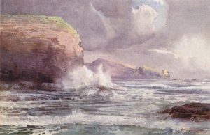 Neuseeland: Te-Wenga von Frank H Wright