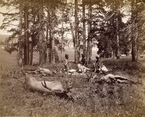 Elchjäger, Yellowstone, ca. 1880