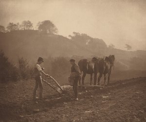 Abendessen, ca. 1890 (Foto) von Frank Meadow Sutcliffe