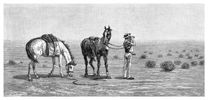 Nichts in Sicht, 1886 von Frank P. Mahony
