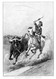 Ein Nachzügler bei einem Viehtrieb einfangen, Australien, 1886