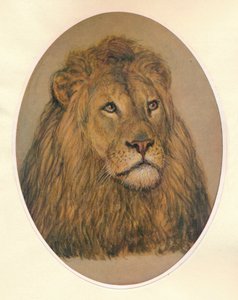 Löwenkopf, um 1896 von Frank Paton