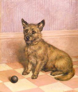 Warten auf das Spiel, ein Cairn Terrier mit einem Ball (Öl) von Frank Paton