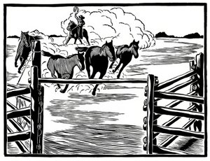 Cowboy von Frank Redlinger