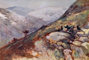 In der Nähe von Kielder (Farblithografie) von Frank Southgate