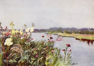 Norfolk Broads: Ein Bure-Ufer