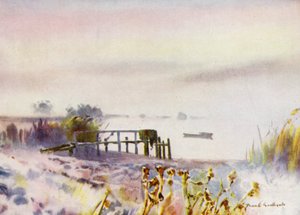 Norfolk Broads: Frostiger Sonnenaufgang auf Ormesby Broad von Frank Southgate