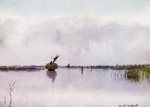 Norfolk Broads: Heuboot auf Hickling Broad von Frank Southgate