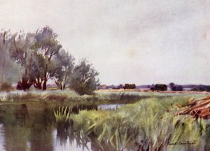 Norfolk Broads: Marschheu - Transport auf der Yare von Frank Southgate