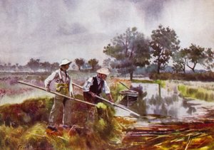 Norfolk Broads: Marschmänner beim Unkrautheben von Frank Southgate