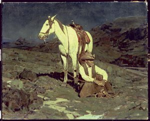 Der Nachtfalke