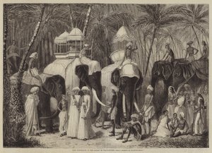 Die Elefanten des Rajah von Travancore von Frank Vizetelly